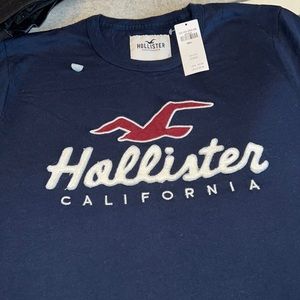 Mens Hollister t-shirt